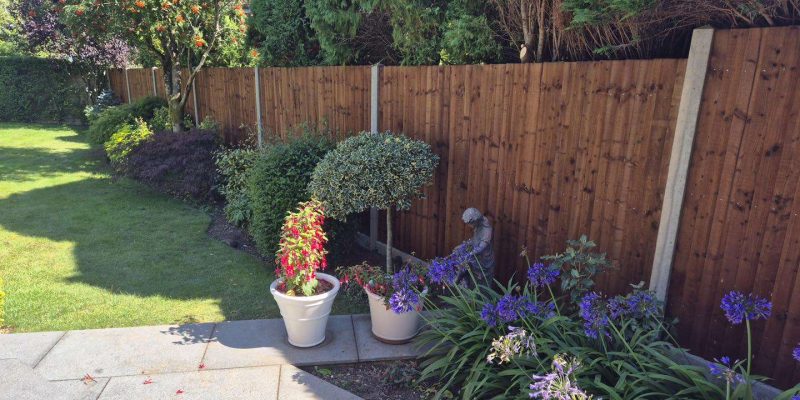 ABC Fencing | Finding the Perfect Garden Fence for your Domestic Fencing Needs